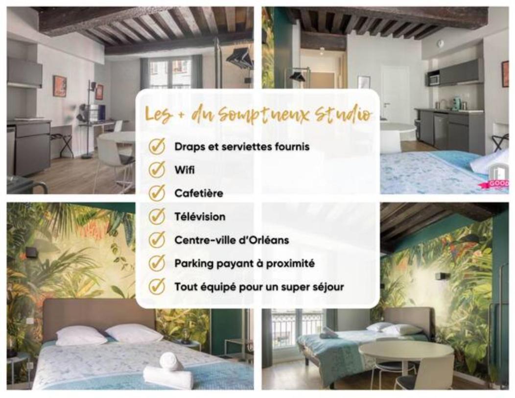 Somptueux Studio Hyper Centre Avec Wifi Lägenhet Orléans Exteriör bild